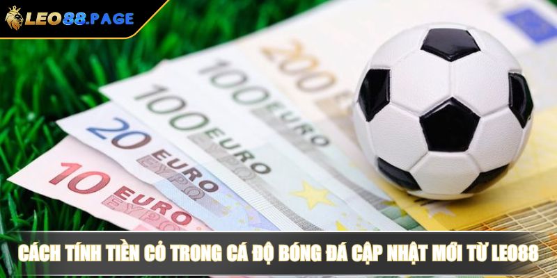 Cách Tính Tiền Cỏ Trong Cá Độ Bóng Đá Và Bí Quyết Kiếm Tiền 3 Cách tính tiền cỏ trong cá độ bóng đá cập nhật mới từ LEO88