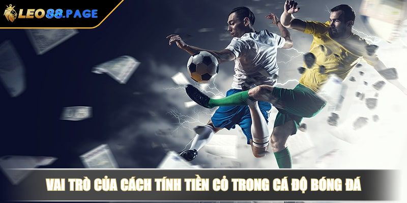 Cách Tính Tiền Cỏ Trong Cá Độ Bóng Đá Và Bí Quyết Kiếm Tiền 2 Vai trò của cách tính tiền cỏ trong cá độ bóng đá